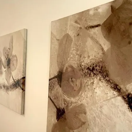 Appartamento Casa Dei Pescatori Sanremo